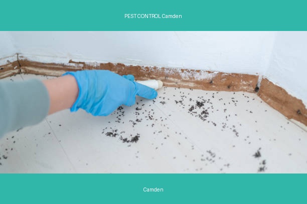 PEST CONTROL Camden